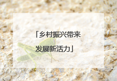 乡村振兴带来发展新活力