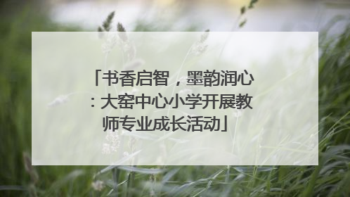 书香启智，墨韵润心：大窑中心小学开展教师专业成长活动