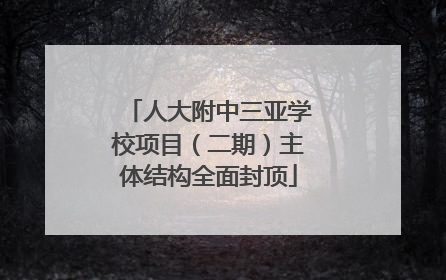 人大附中三亚学校项目（二期）主体结构全面封顶