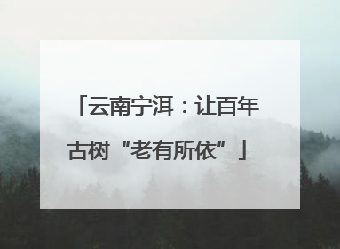 云南宁洱：让百年古树“老有所依”