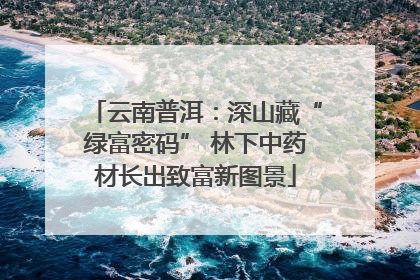 云南普洱：深山藏“绿富密码” 林下中药材长出致富新图景