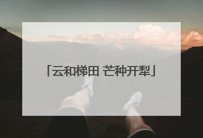 云和梯田 芒种开犁