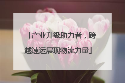 产业升级助力者，跨越速运展现物流力量