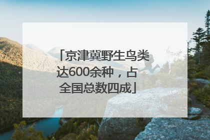 京津冀野生鸟类达600余种，占全国总数四成