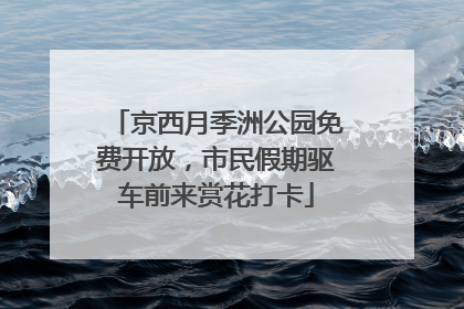 京西月季洲公园免费开放，市民假期驱车前来赏花打卡