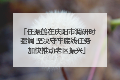 任振鹤在庆阳市调研时强调 坚决守牢底线任务 加快推动老区振兴