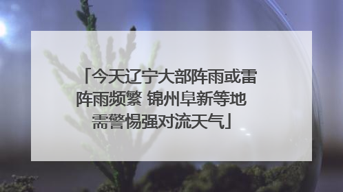 今天辽宁大部阵雨或雷阵雨频繁 锦州阜新等地需警惕强对流天气