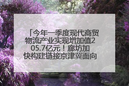 今年一季度现代商贸物流产业实现增加值205.7亿元！廊坊加快构建链接京津冀面向全世界的物流通道