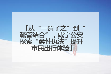 从“一罚了之”到“疏管结合”，咸宁公安探索“柔性执法”提升市民出行体验