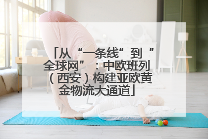 从“一条线”到“全球网”：中欧班列（西安）构建亚欧黄金物流大通道