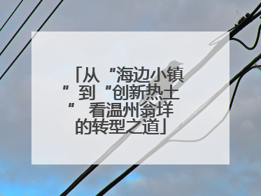 从“海边小镇”到“创新热土” 看温州翁垟的转型之道
