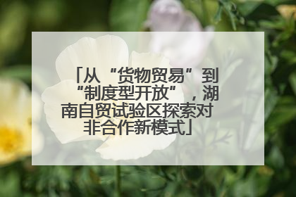 从“货物贸易”到“制度型开放”，湖南自贸试验区探索对非合作新模式