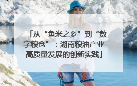 从“鱼米之乡”到“数字粮仓”：湖南粮油产业高质量发展的创新实践