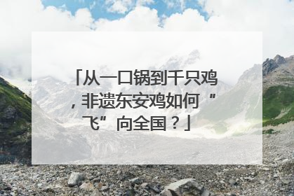 从一口锅到千只鸡，非遗东安鸡如何“飞”向全国？