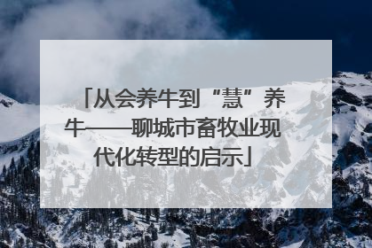 从会养牛到“慧”养牛——聊城市畜牧业现代化转型的启示