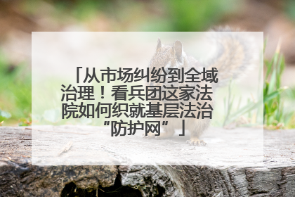 从市场纠纷到全域治理！看兵团这家法院如何织就基层法治 “防护网”