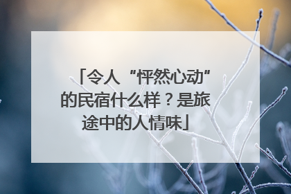 令人“怦然心动”的民宿什么样？是旅途中的人情味