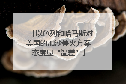 以色列和哈马斯对美国的加沙停火方案态度显“温差”