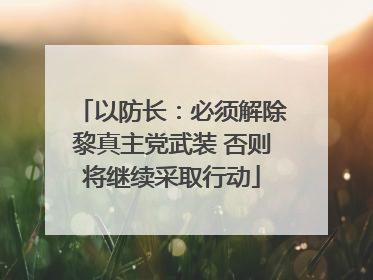 以防长：必须解除黎真主党武装 否则将继续采取行动