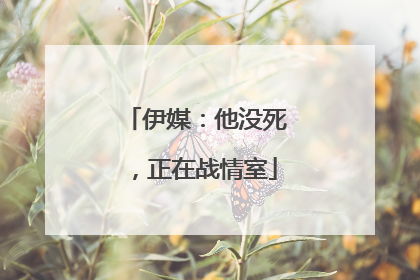 伊媒：他没死，正在战情室