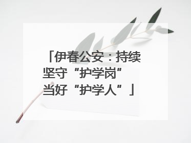 伊春公安：持续坚守“护学岗” 当好“护学人”
