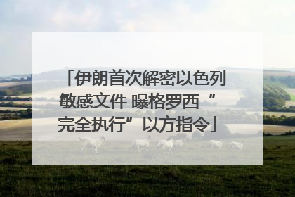 伊朗首次解密以色列敏感文件 曝格罗西“完全执行”以方指令