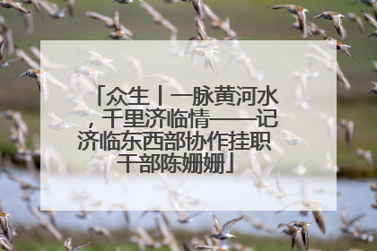 众生丨一脉黄河水，千里济临情——记济临东西部协作挂职干部陈姗姗