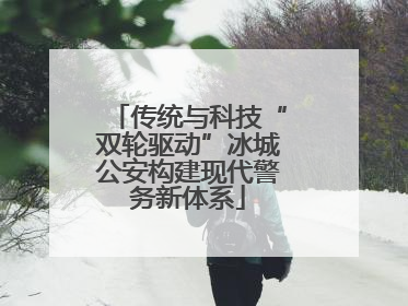 传统与科技“双轮驱动”冰城公安构建现代警务新体系