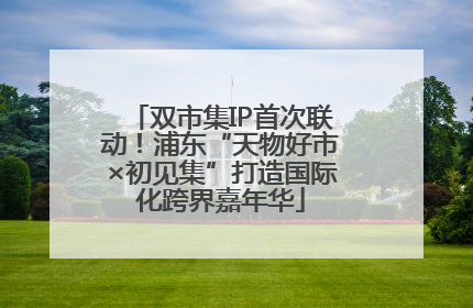 双市集IP首次联动！浦东“天物好市×初见集”打造国际化跨界嘉年华