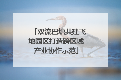 双流巴塘共建飞地园区打造跨区域产业协作示范