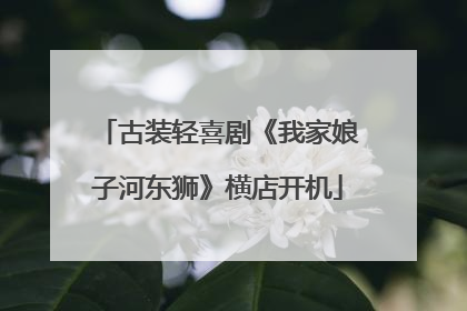 古装轻喜剧《我家娘子河东狮》横店开机