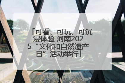 可看、可玩、可沉浸体验 河南2025“文化和自然遗产日”活动举行