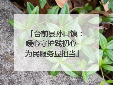 台前县孙口镇：暖心守护践初心 为民服务显担当