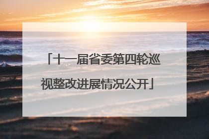 十一届省委第四轮巡视整改进展情况公开