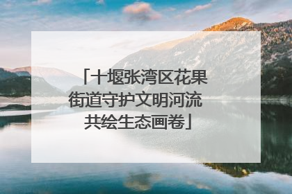 十堰张湾区花果街道守护文明河流 共绘生态画卷