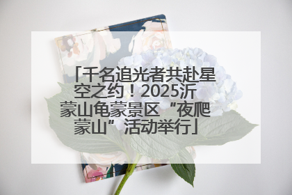 千名追光者共赴星空之约！2025沂蒙山龟蒙景区“夜爬蒙山”活动举行