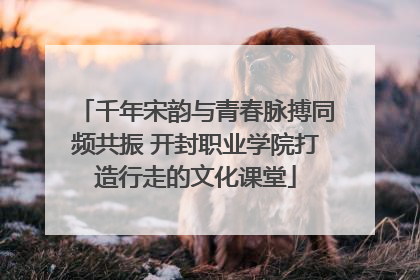 千年宋韵与青春脉搏同频共振 开封职业学院打造行走的文化课堂