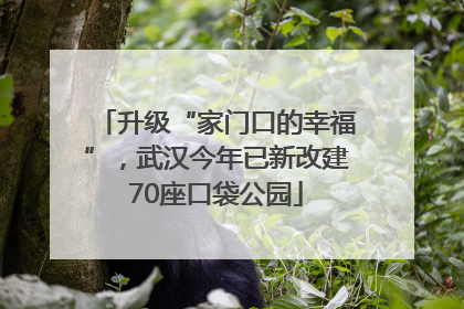 升级“家门口的幸福”，武汉今年已新改建70座口袋公园