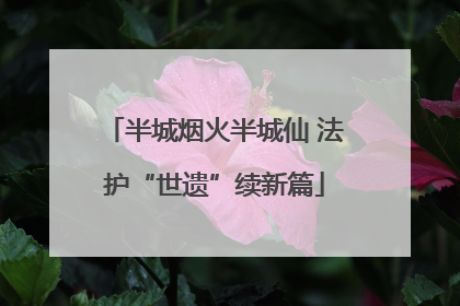 半城烟火半城仙 法护“世遗”续新篇