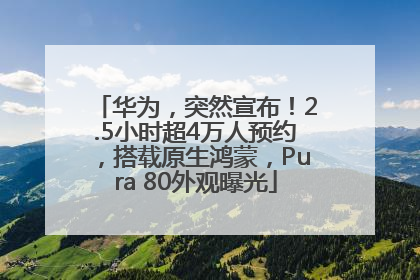 华为，突然宣布！2.5小时超4万人预约，搭载原生鸿蒙，Pura 80外观曝光