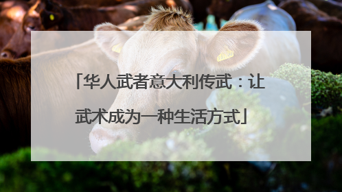 华人武者意大利传武：让武术成为一种生活方式