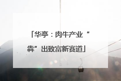 华亭：肉牛产业“犇”出致富新赛道