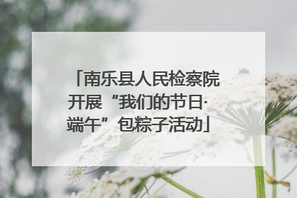 南乐县人民检察院开展“我们的节日·端午”包粽子活动