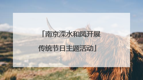南京溧水和凤开展传统节日主题活动