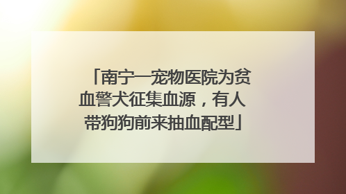 南宁一宠物医院为贫血警犬征集血源，有人带狗狗前来抽血配型