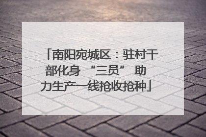 南阳宛城区：驻村干部化身 “三员” 助力生产一线抢收抢种