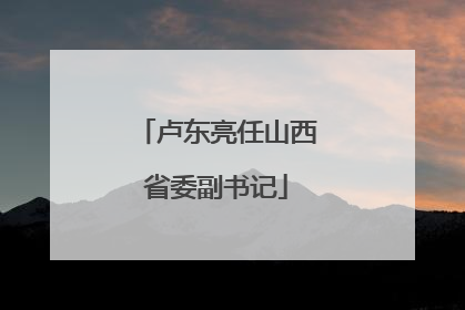 卢东亮任山西省委副书记