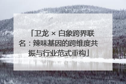 卫龙 × 白象跨界联名：辣味基因的跨维度共振与行业范式重构