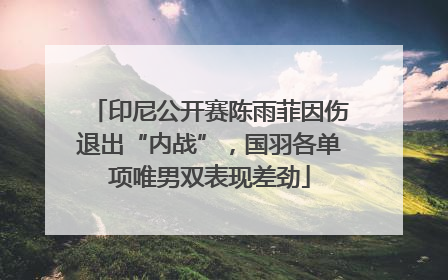 印尼公开赛陈雨菲因伤退出“内战”，国羽各单项唯男双表现差劲