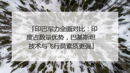 印巴军力全面对比：印度占数量优势，巴基斯坦技术与飞行员素质更强